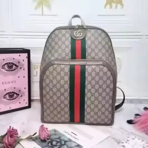 Gucci Backpack(Large)