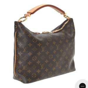 Louis Vuitton Hobo