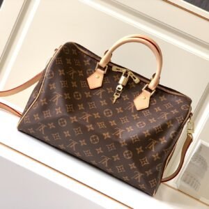 Louis Vuitton Speedy 25